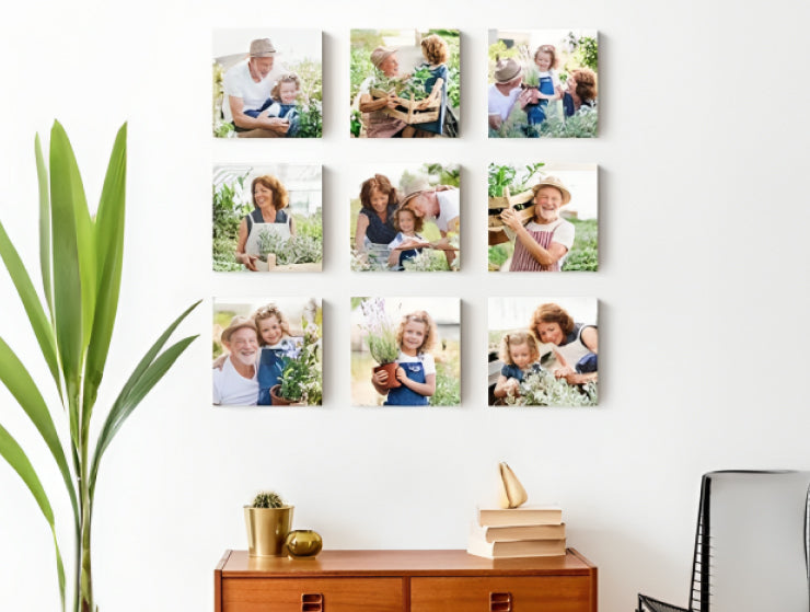 Harnessing Simplicity: Embellishing Your Space with Petite Wall Art Pieces