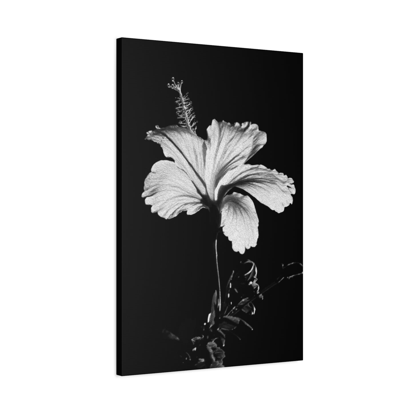 Black & White Floral Wall Art & Canvas Prints