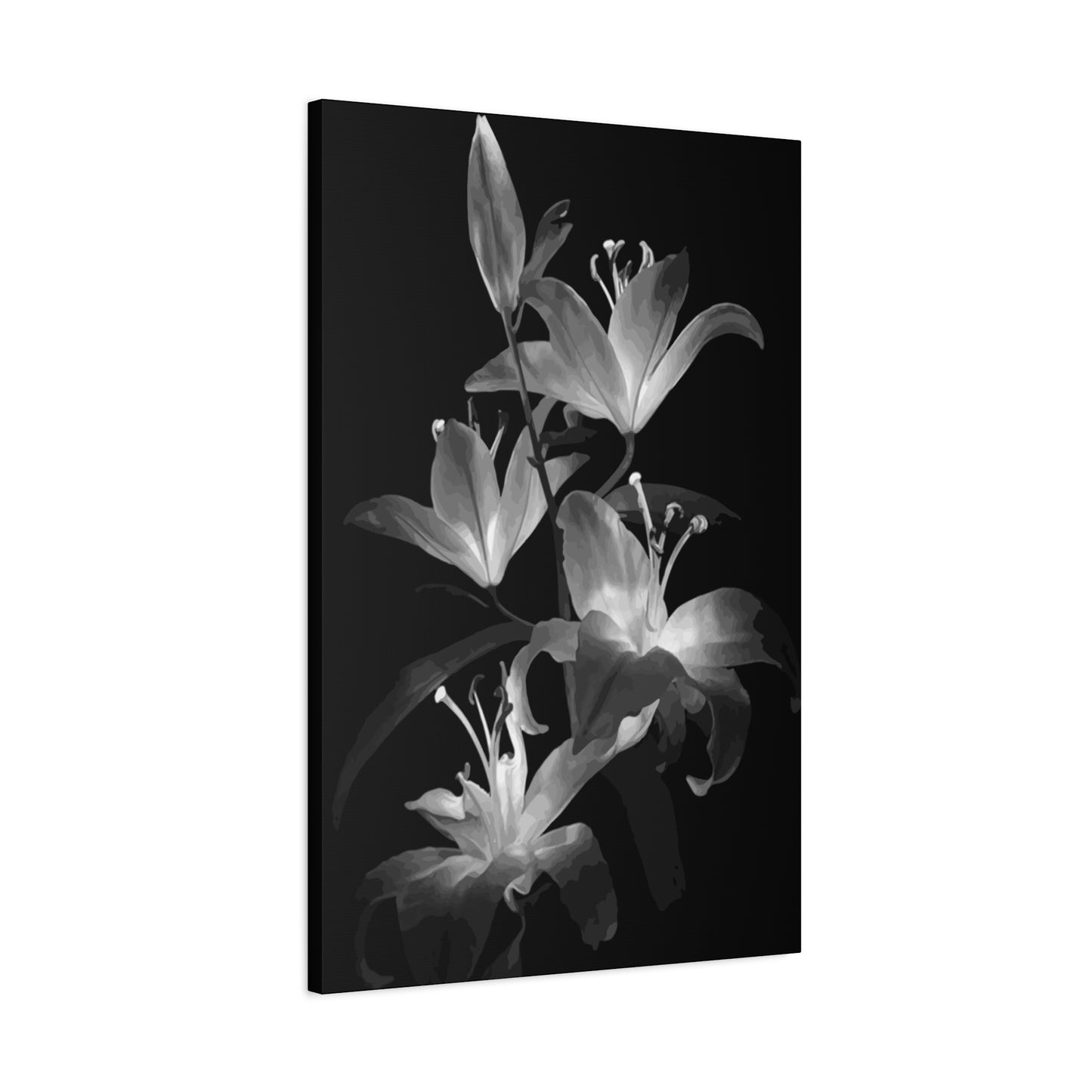 Lily Wall Art & Canvas Prints