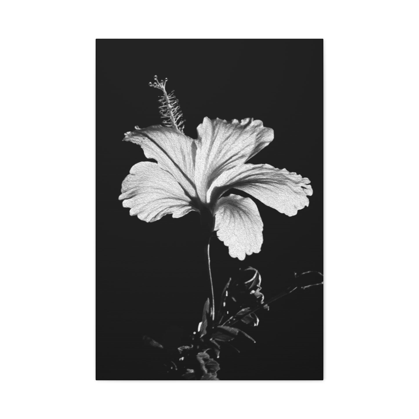 Black & White Floral Wall Art & Canvas Prints