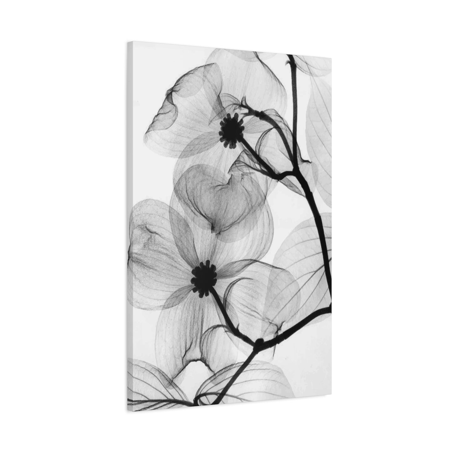 Black & White Flower Wall Art & Canvas Prints