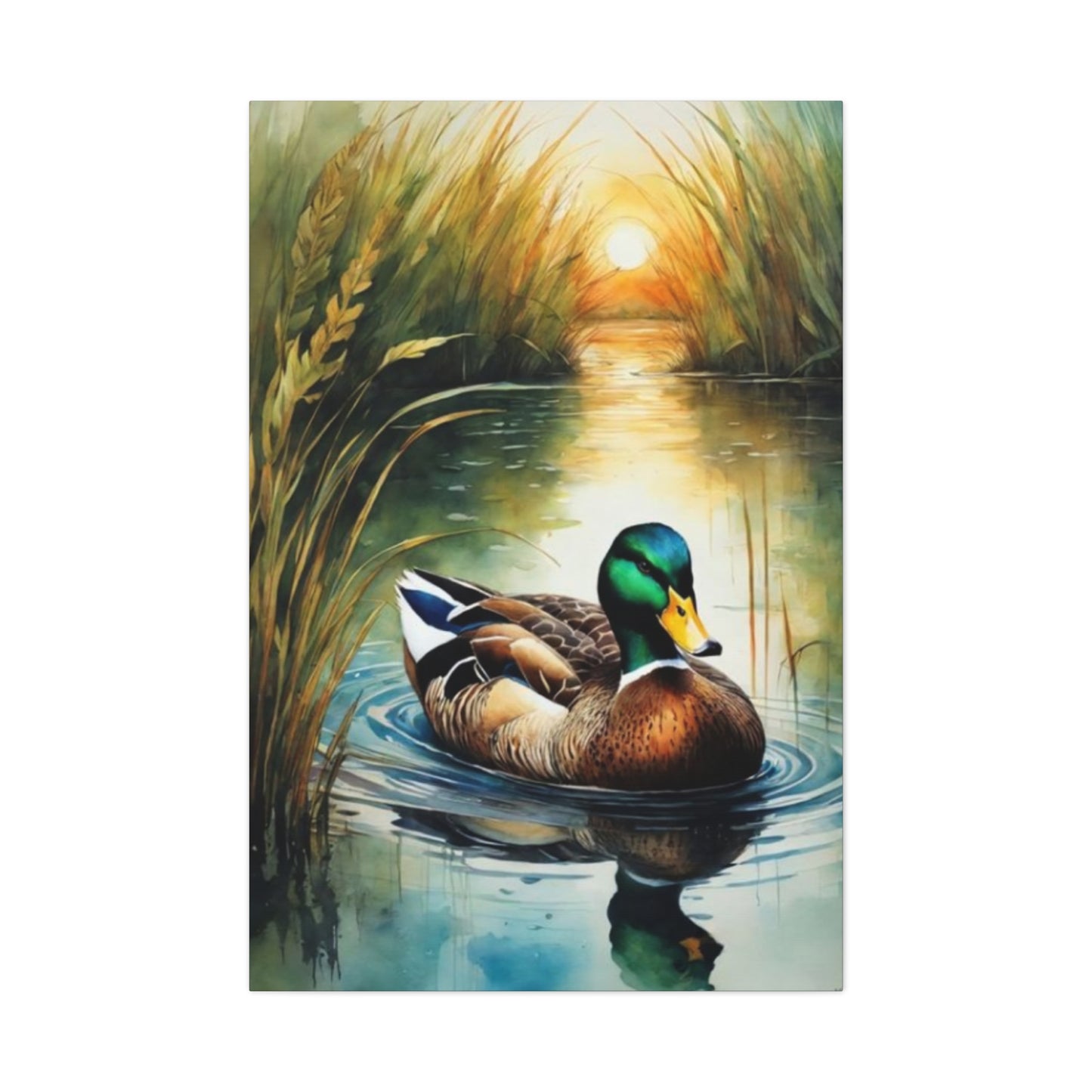 Duck in Pond Wall Art & Canvas Prints