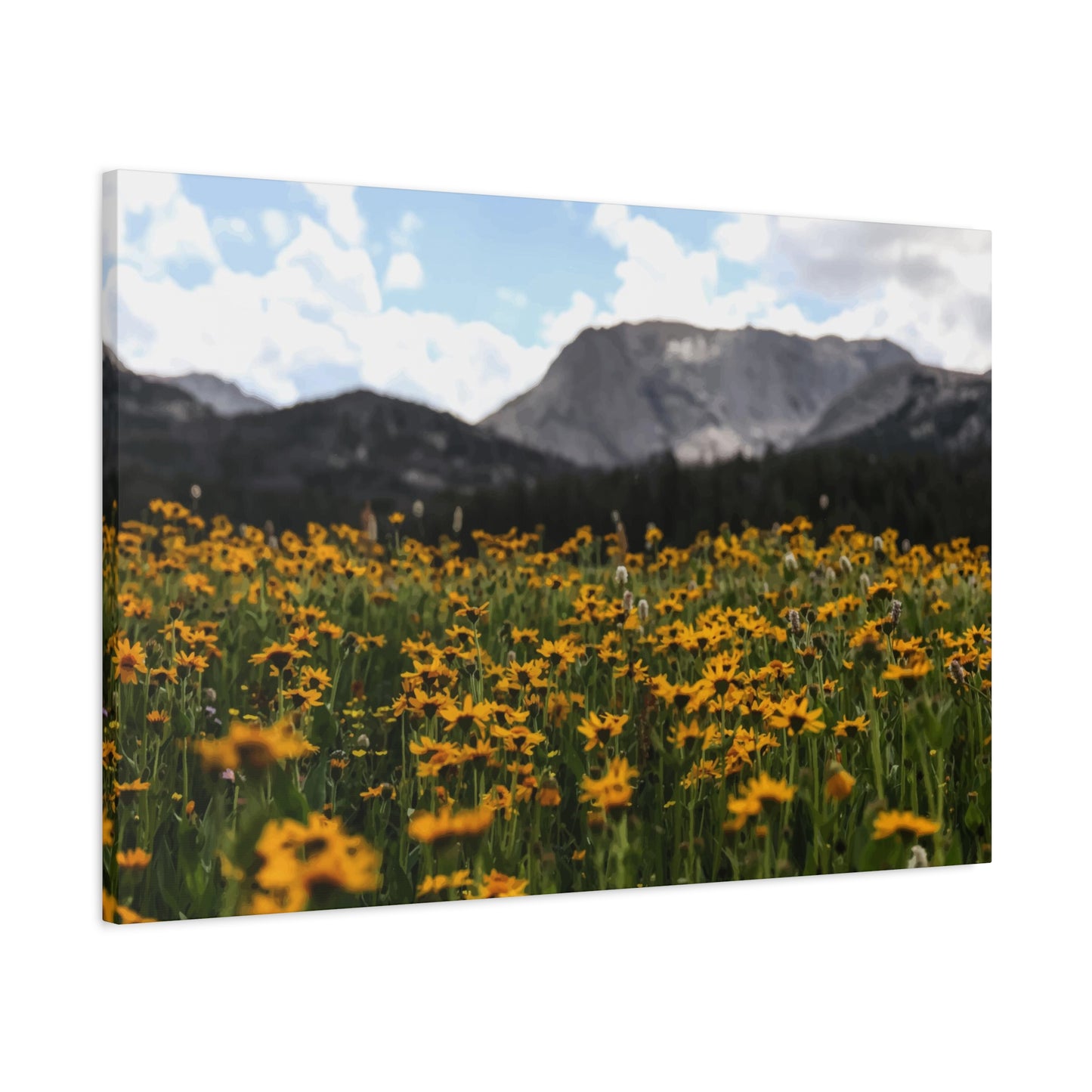 Sunflower Garden Wall Art & Canvas Prints