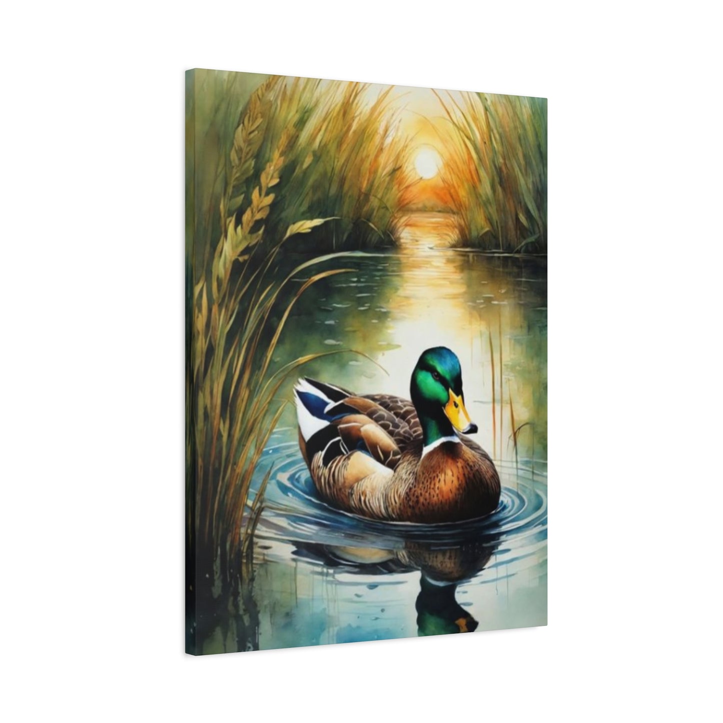 Duck in Pond Wall Art & Canvas Prints