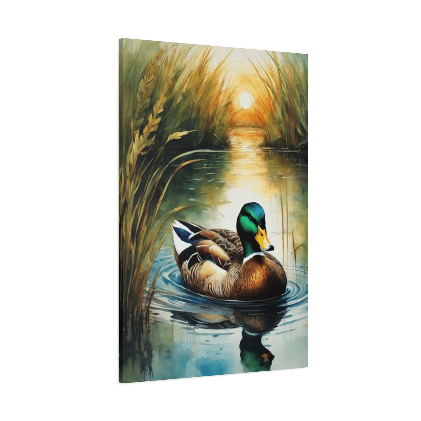 Golden Hour Duck Wall Art & Canvas Prints