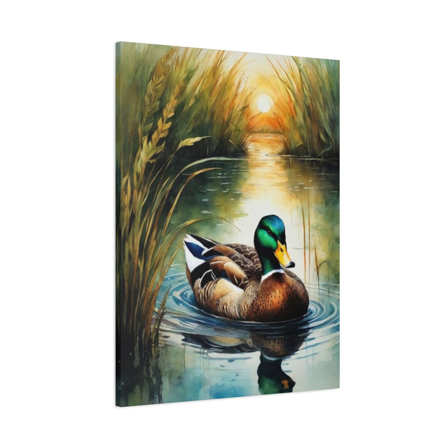 Duck in Pond Wall Art & Canvas Prints