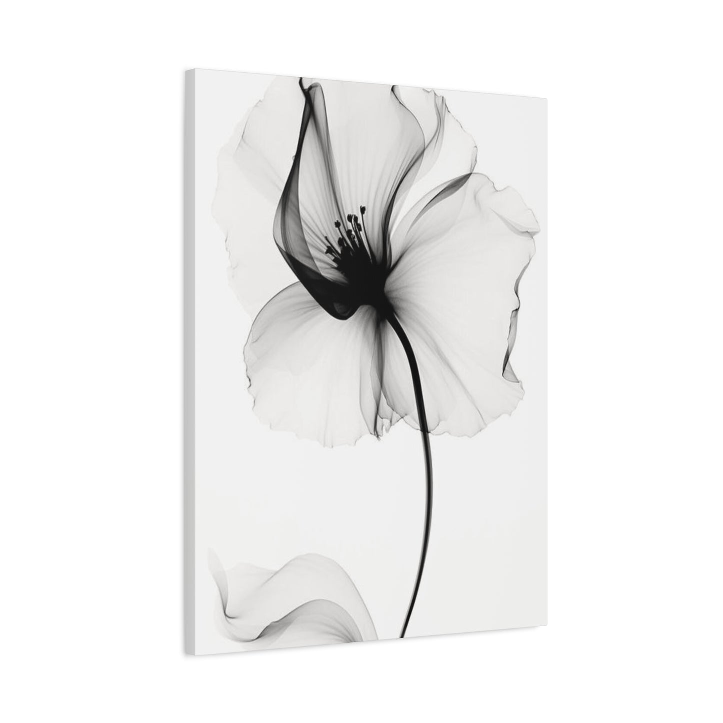 X-Ray Wall Art & Canvas Prints