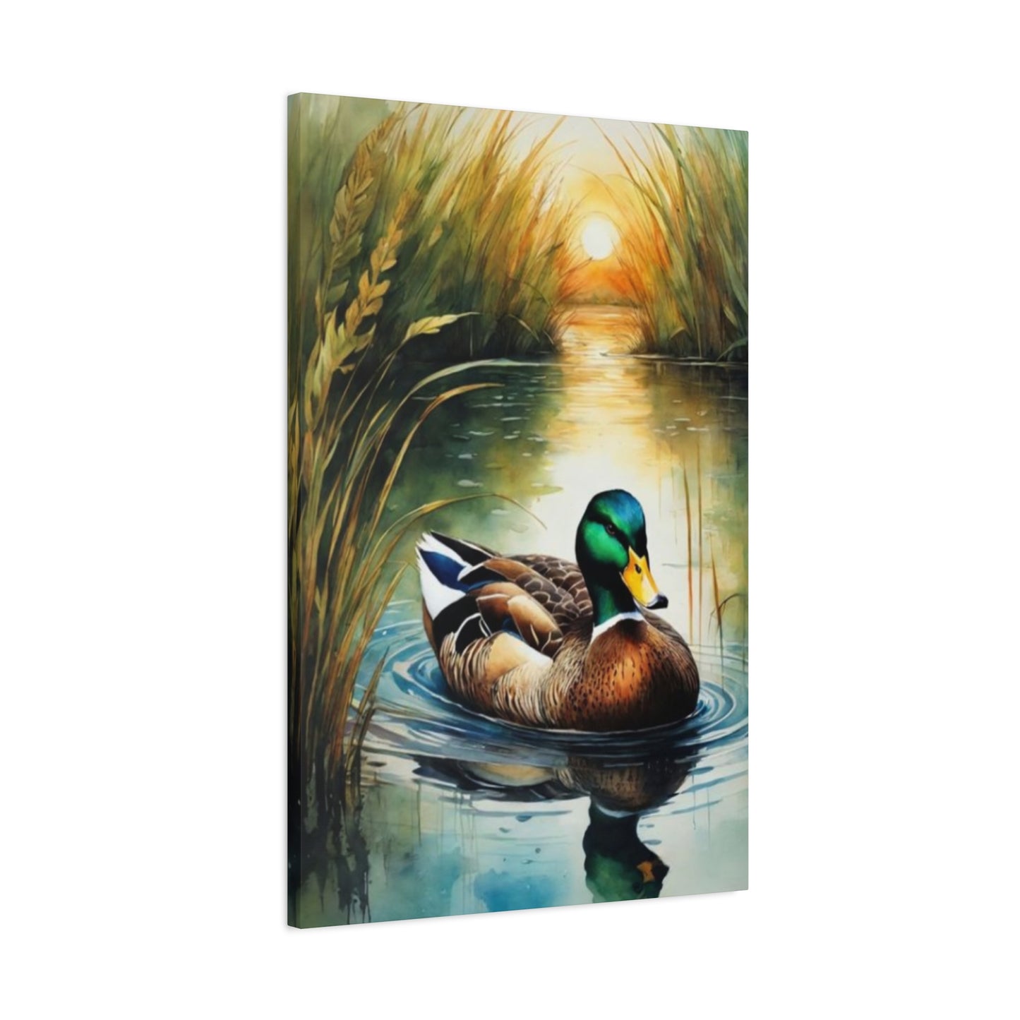 Duck in Pond Wall Art & Canvas Prints