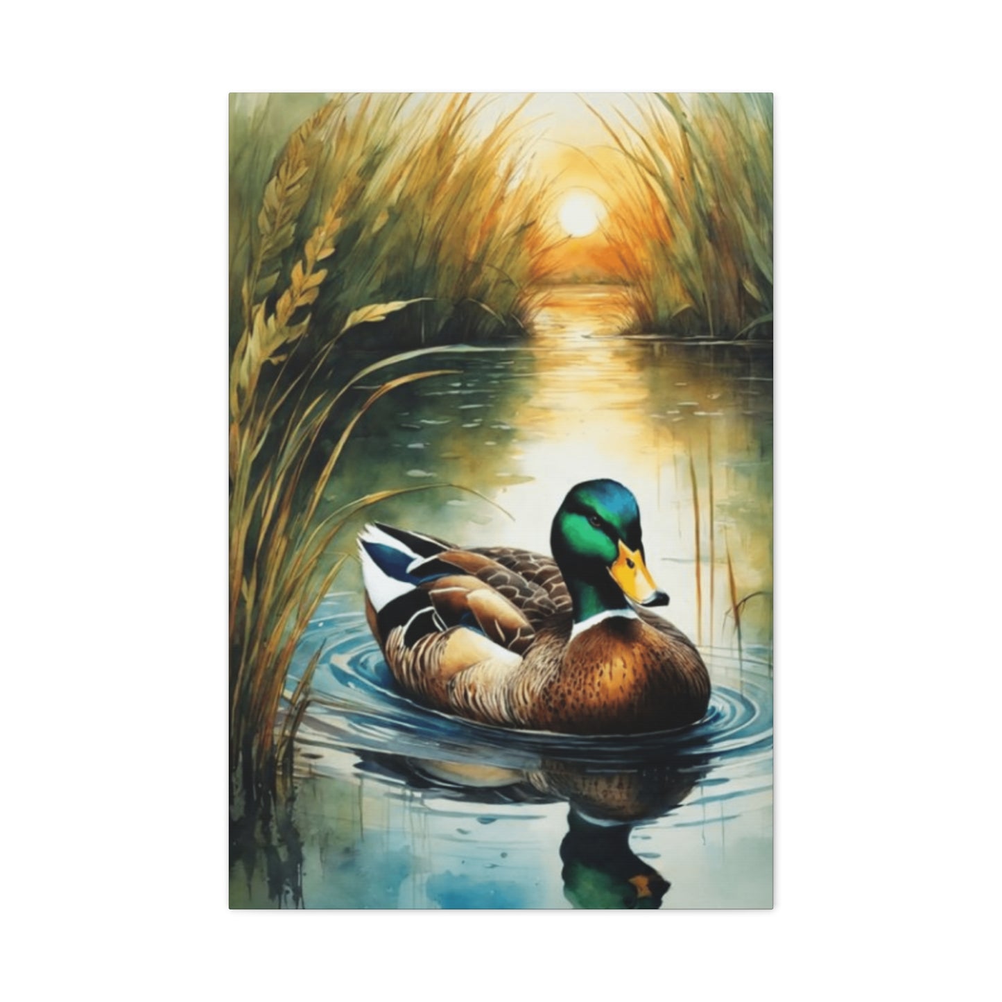 Golden Hour Duck Wall Art & Canvas Prints