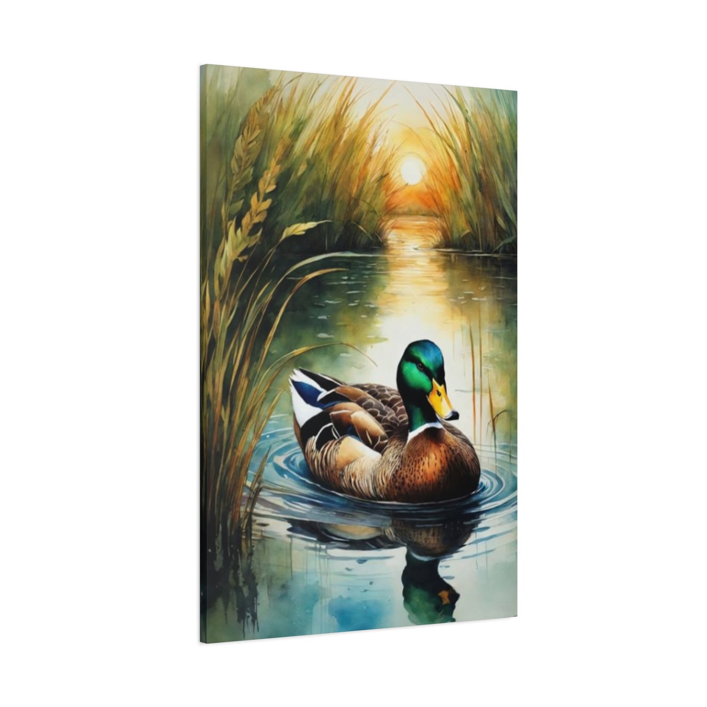 Duck in Pond Wall Art & Canvas Prints