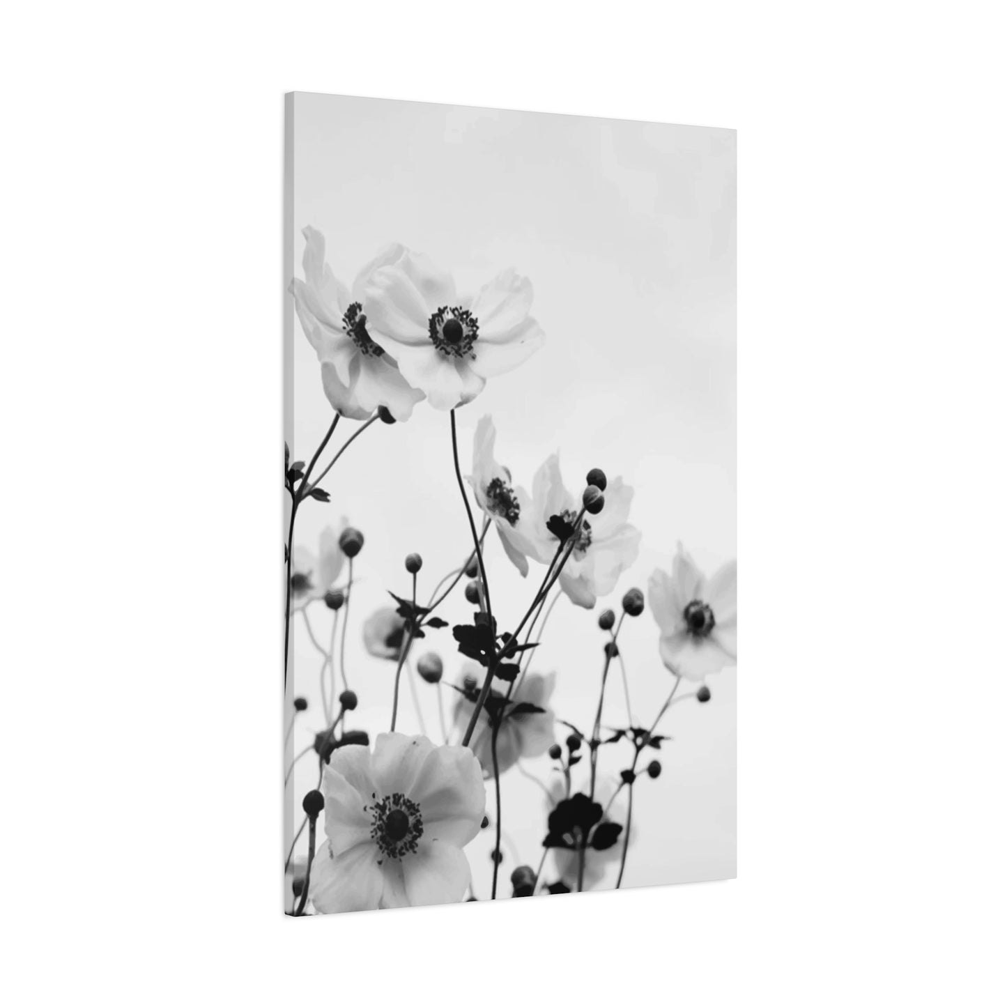 Black & White Small Flowers Wall Art & Canvas Prints