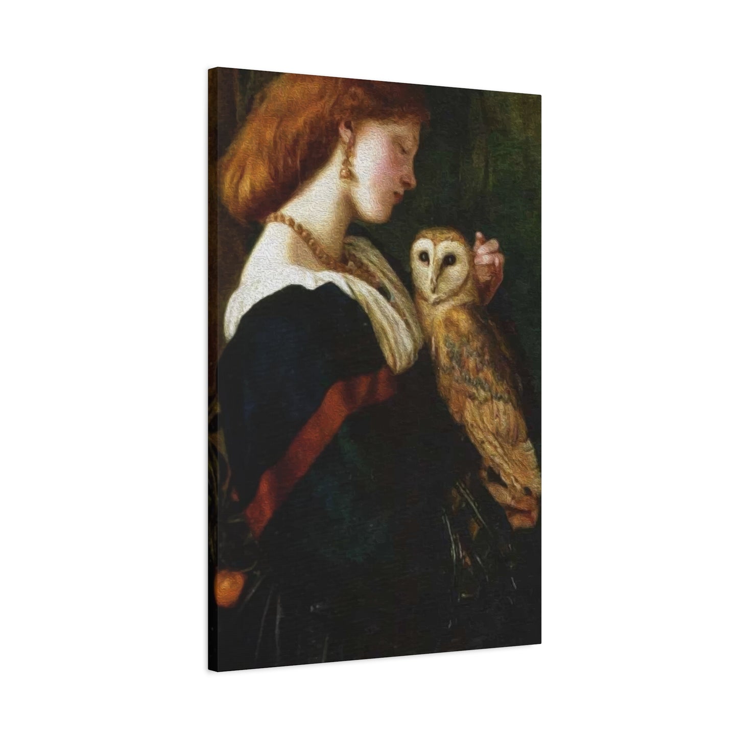 Beautiful Lady With Owl Art Wall Art & Canvas Prints