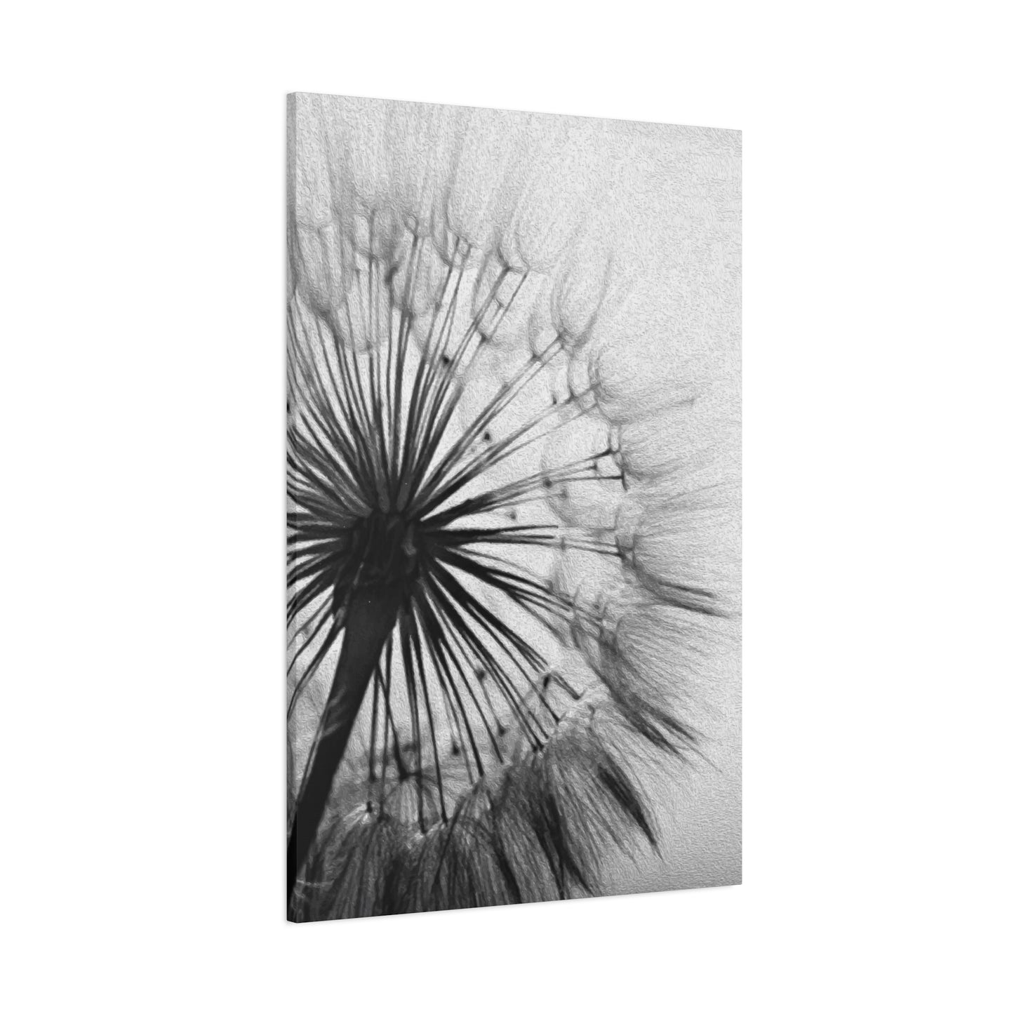 Black & White Floral Wall Art & Canvas Prints