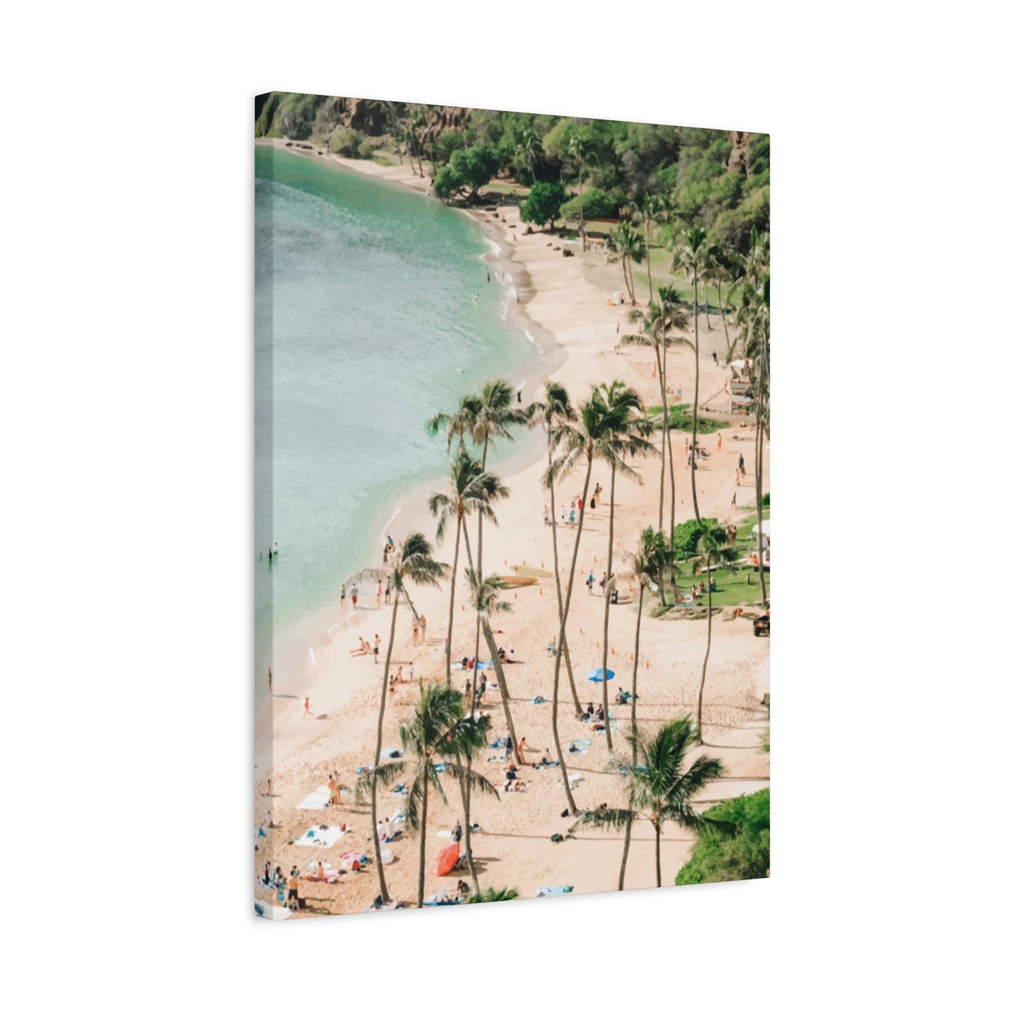 Hawai Wall Art & Canvas Prints