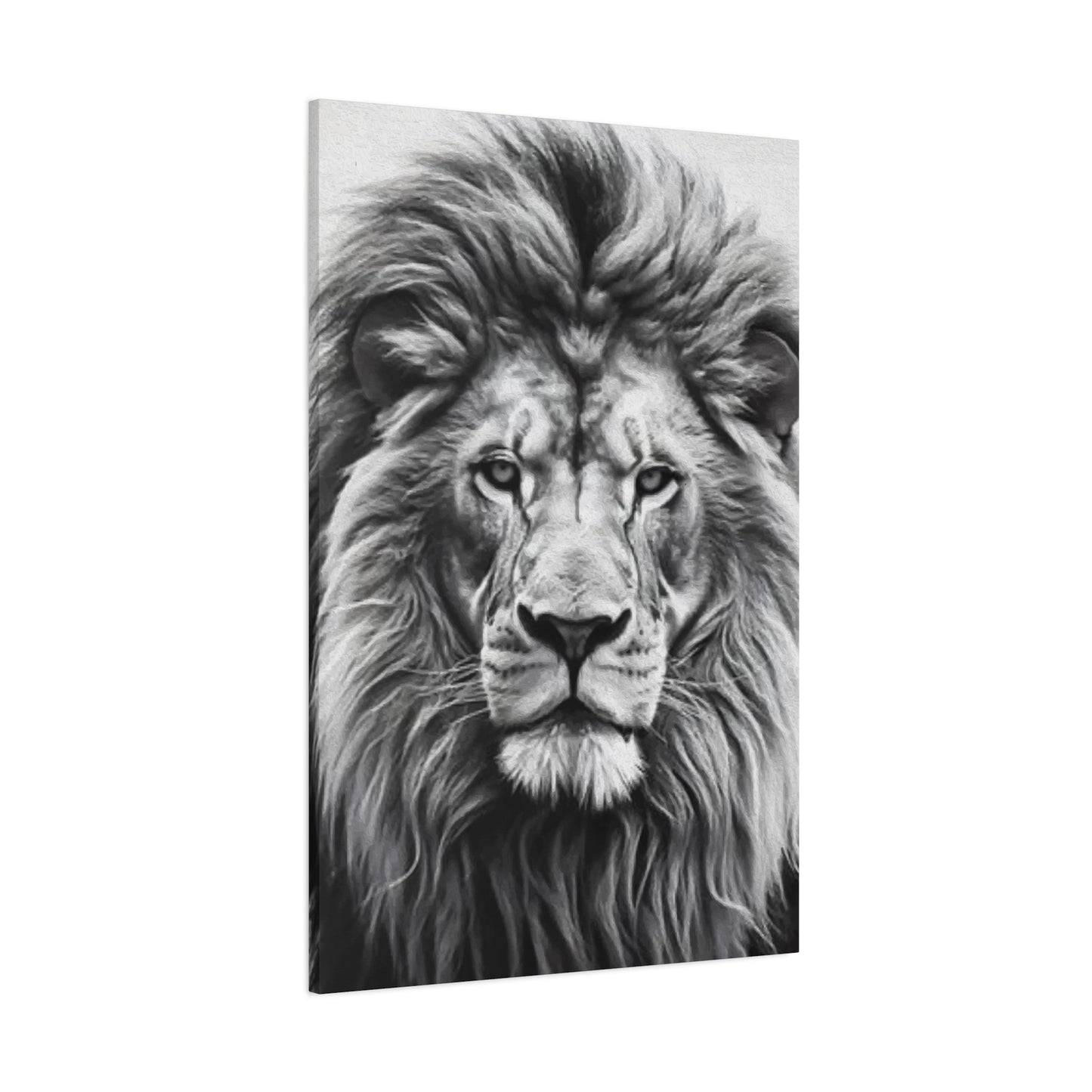 Lion BW Wall Art & Canvas Prints