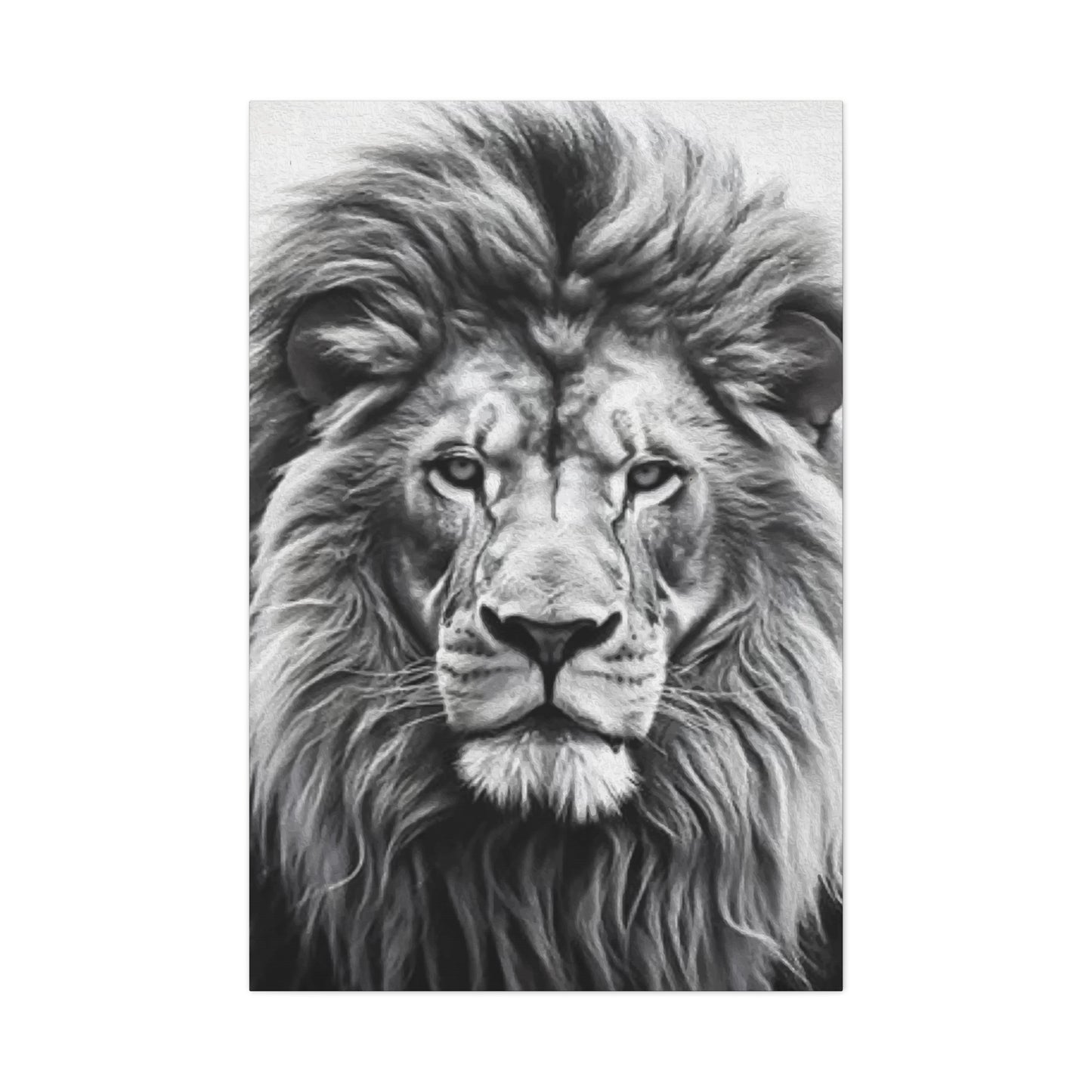 Lion BW Wall Art & Canvas Prints