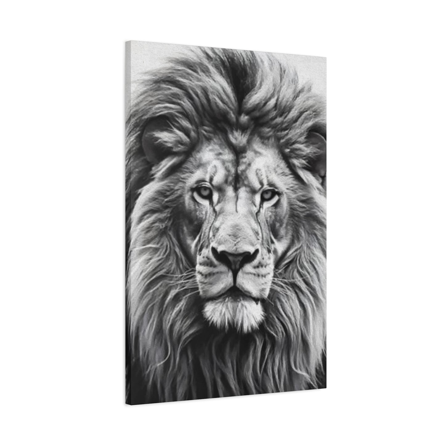 Lion BW Wall Art & Canvas Prints