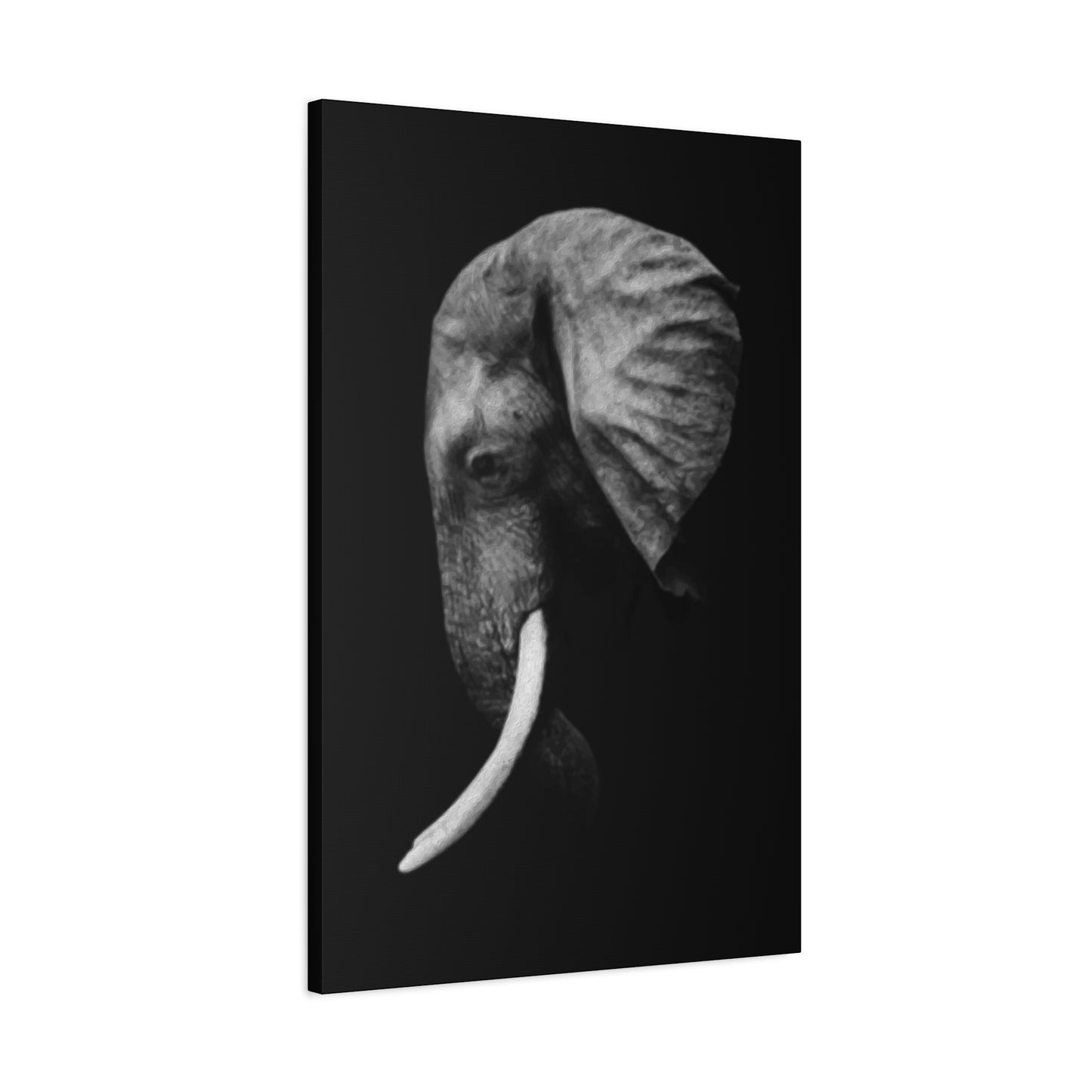 Elephant Side Profile Wall Art & Canvas Prints