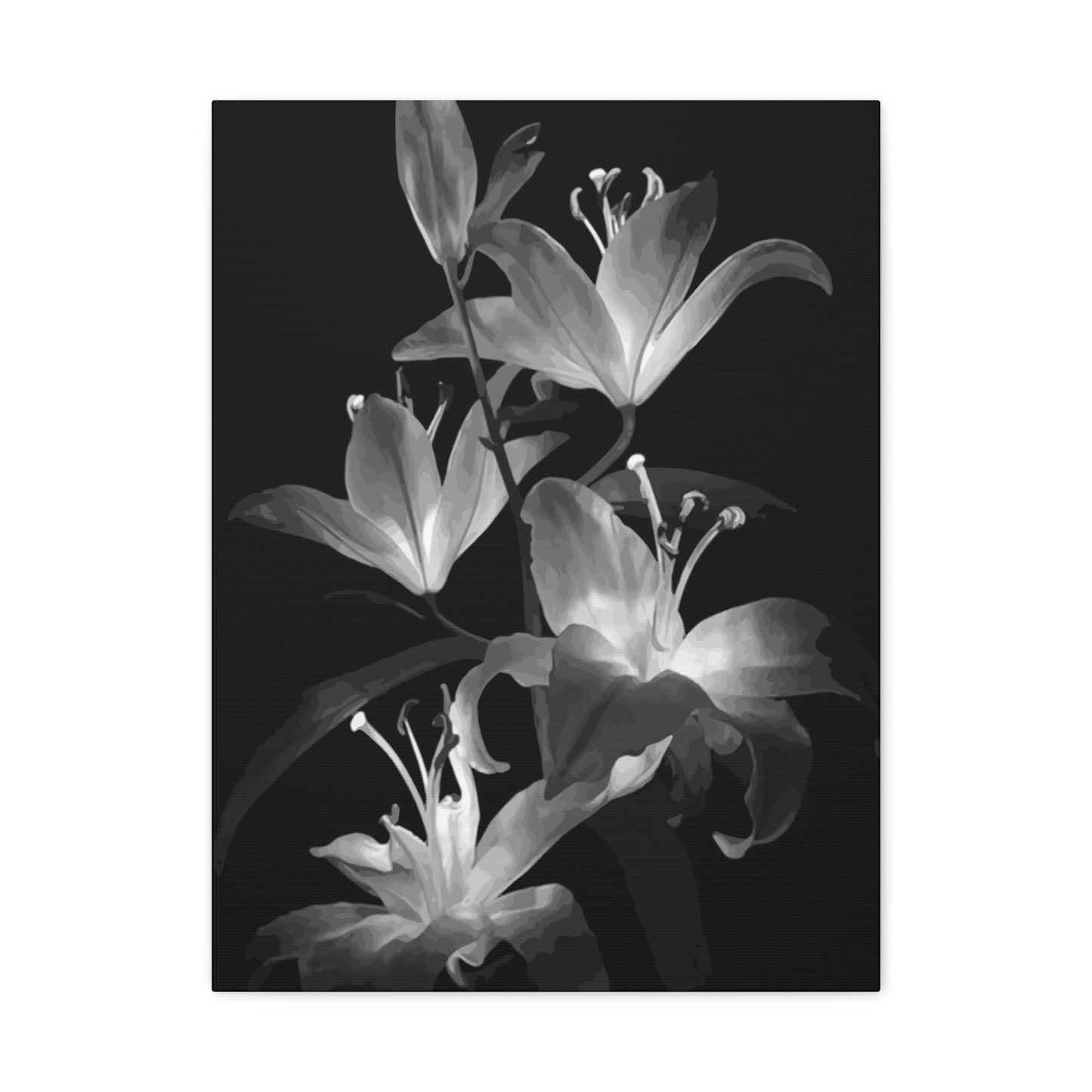 Lily Wall Art & Canvas Prints