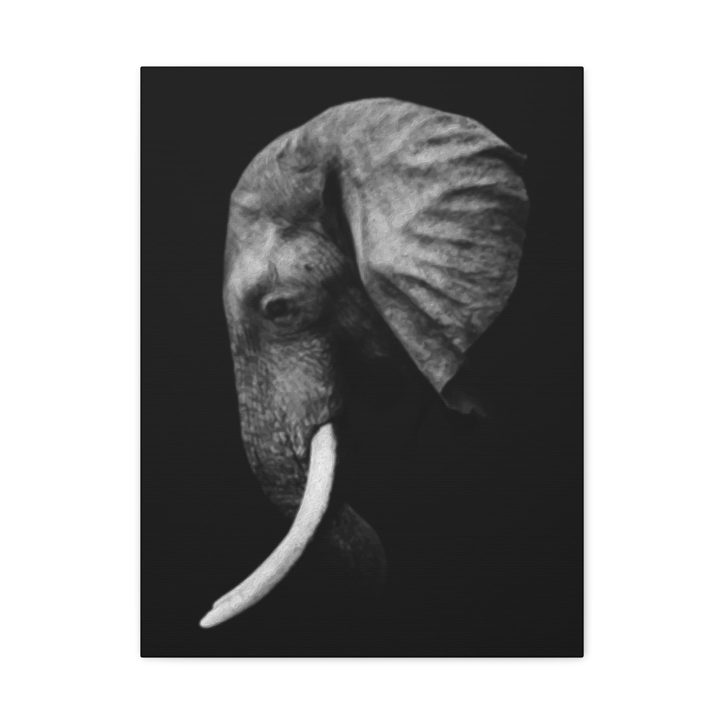 Elephant Side Profile Wall Art & Canvas Prints