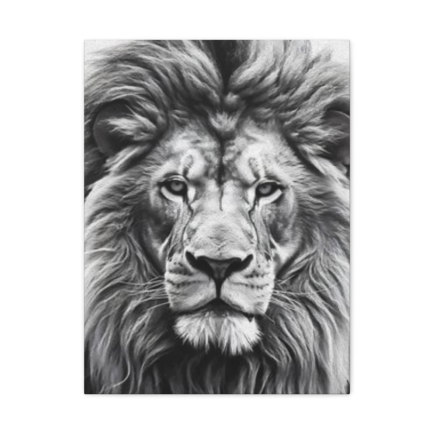 Lion BW Wall Art & Canvas Prints