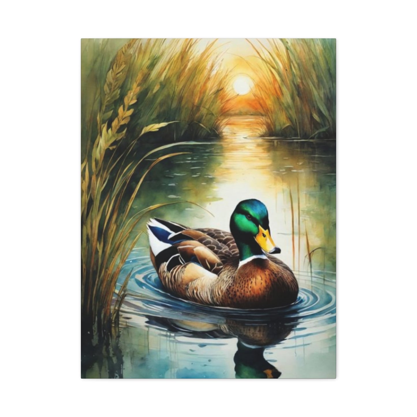 Duck in Pond Wall Art & Canvas Prints