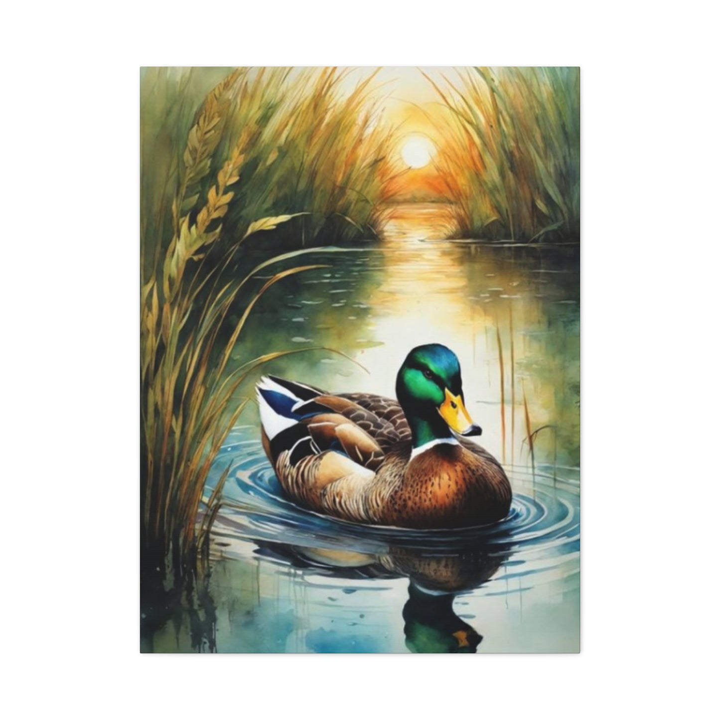 Duck in Pond Wall Art & Canvas Prints