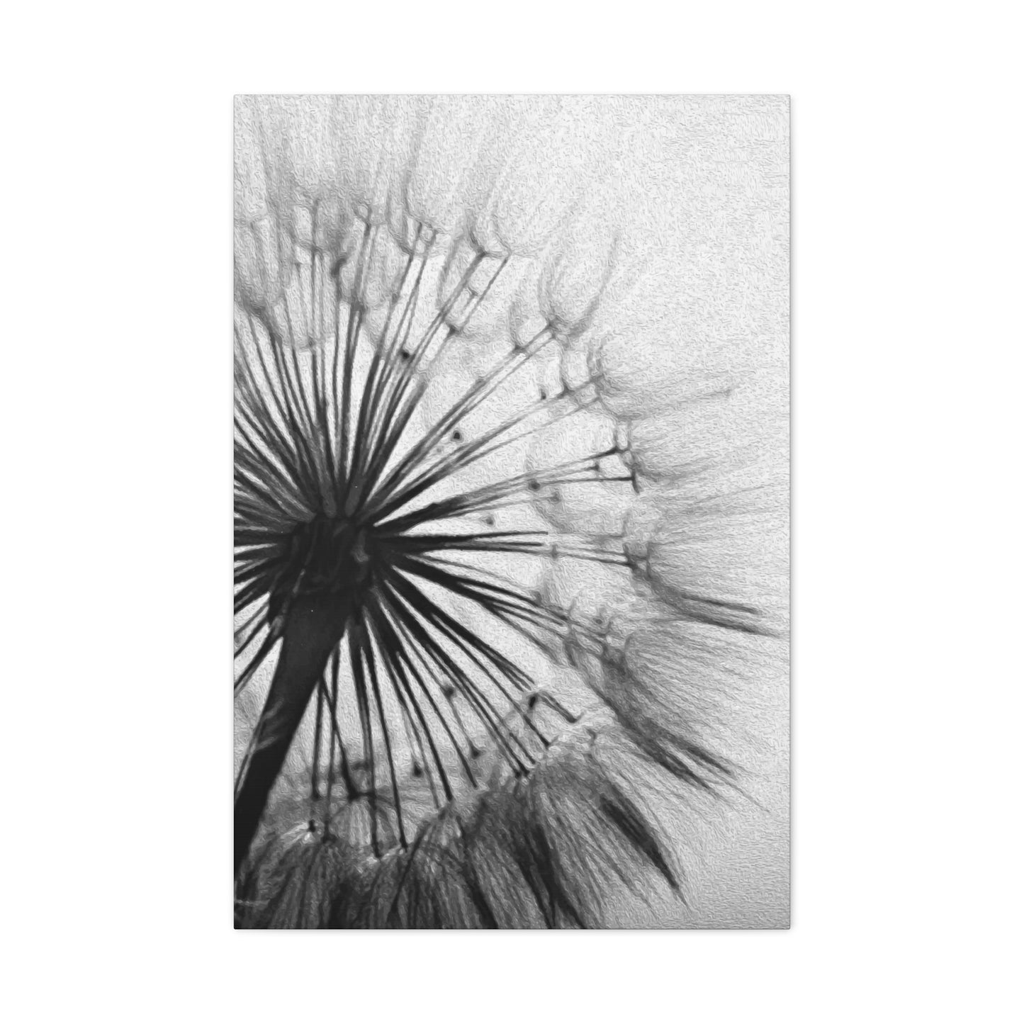 Black & White Floral Wall Art & Canvas Prints