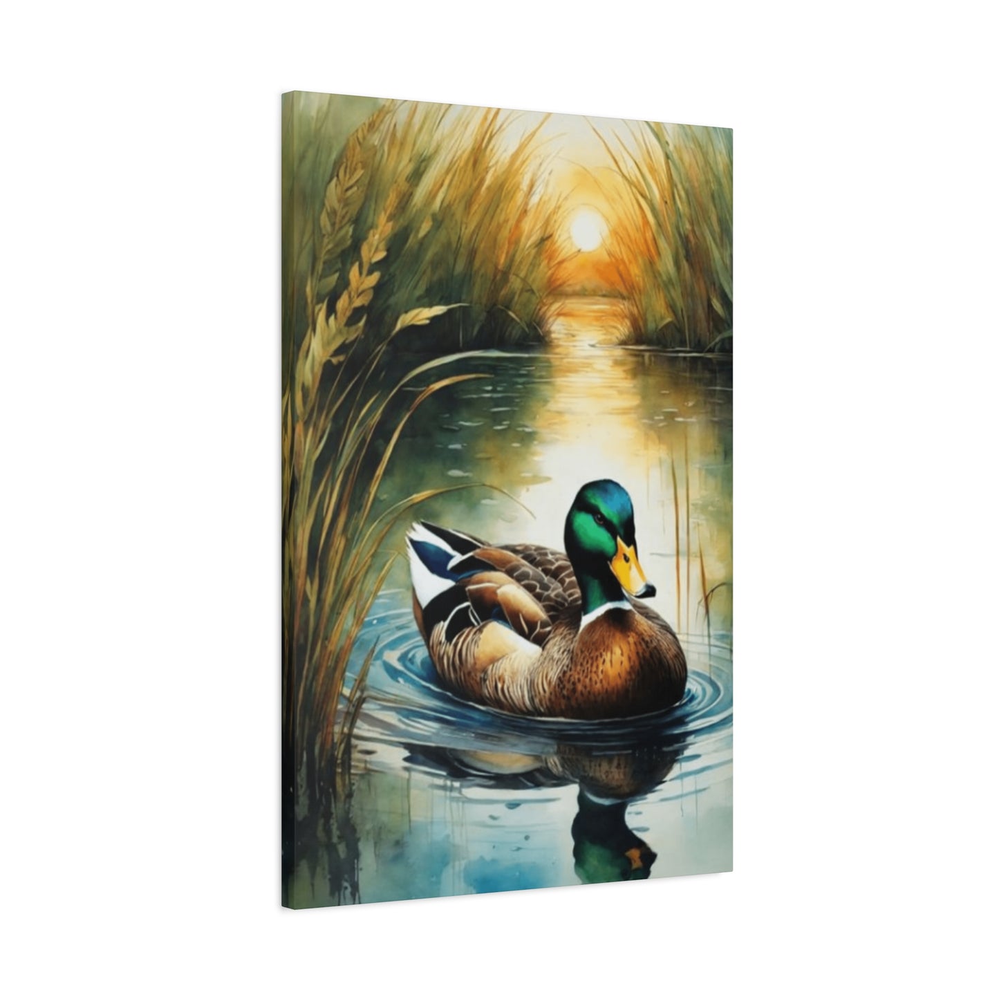 Golden Hour Duck Wall Art & Canvas Prints