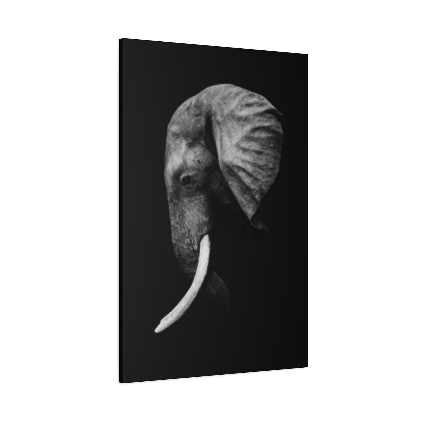 Elephant Side Profile Wall Art & Canvas Prints